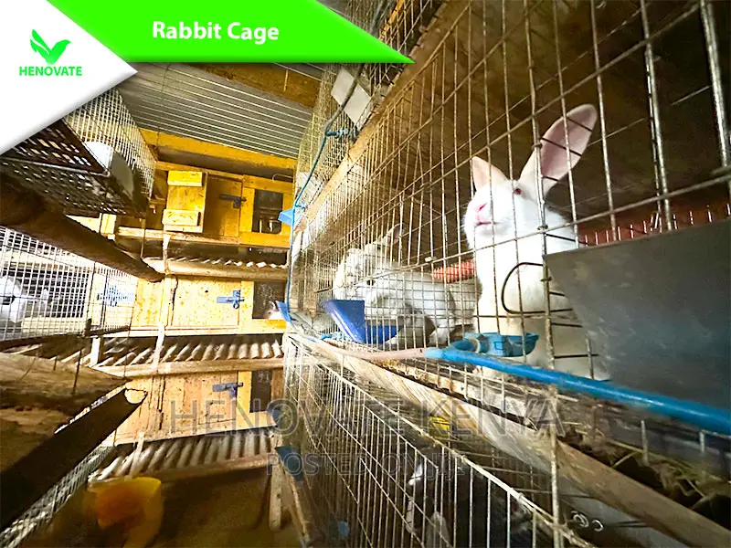 Rabbit Cages With Feeders in Kenya One Year Warranty
