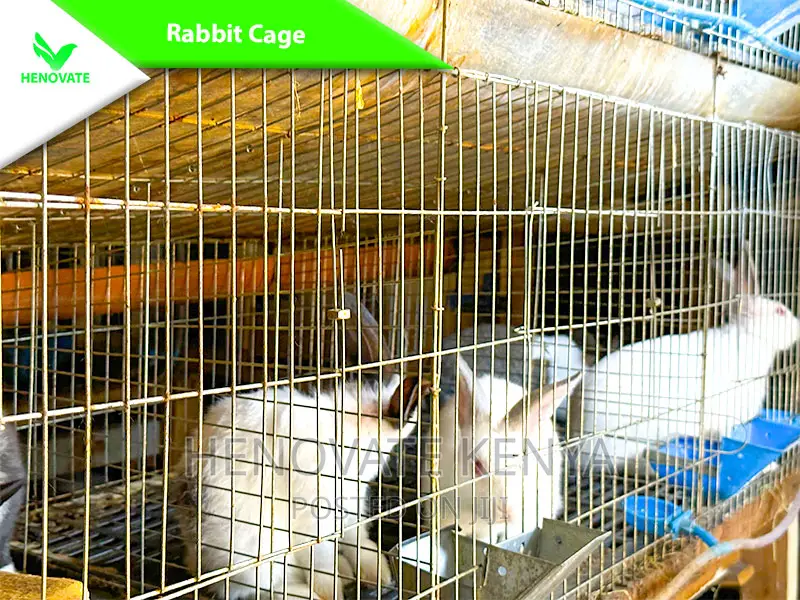 Rabbit Cages With Feeders in Kenya One Year Warranty