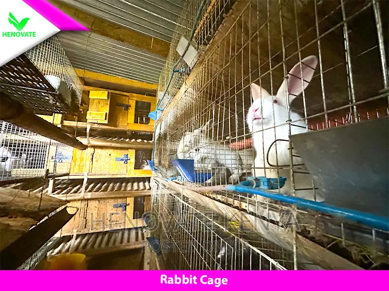 Rabbit Cage(Brand New) Made With Galvanized One Year Warrant