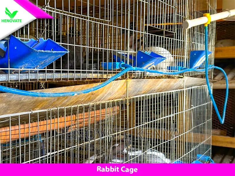 Rabbit Cage(Brand New) Made With Galvanized One Year Warrant