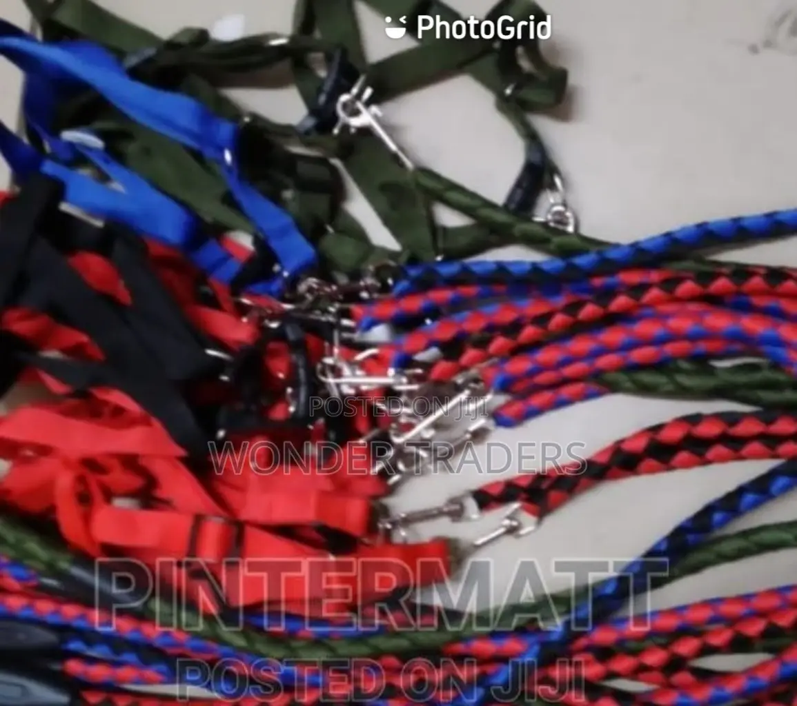 Dog Leash,Dog Leash, Dog Leash