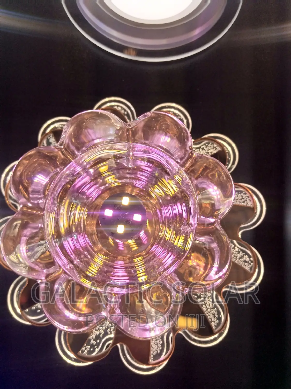 Flowered Downlights 3 Color