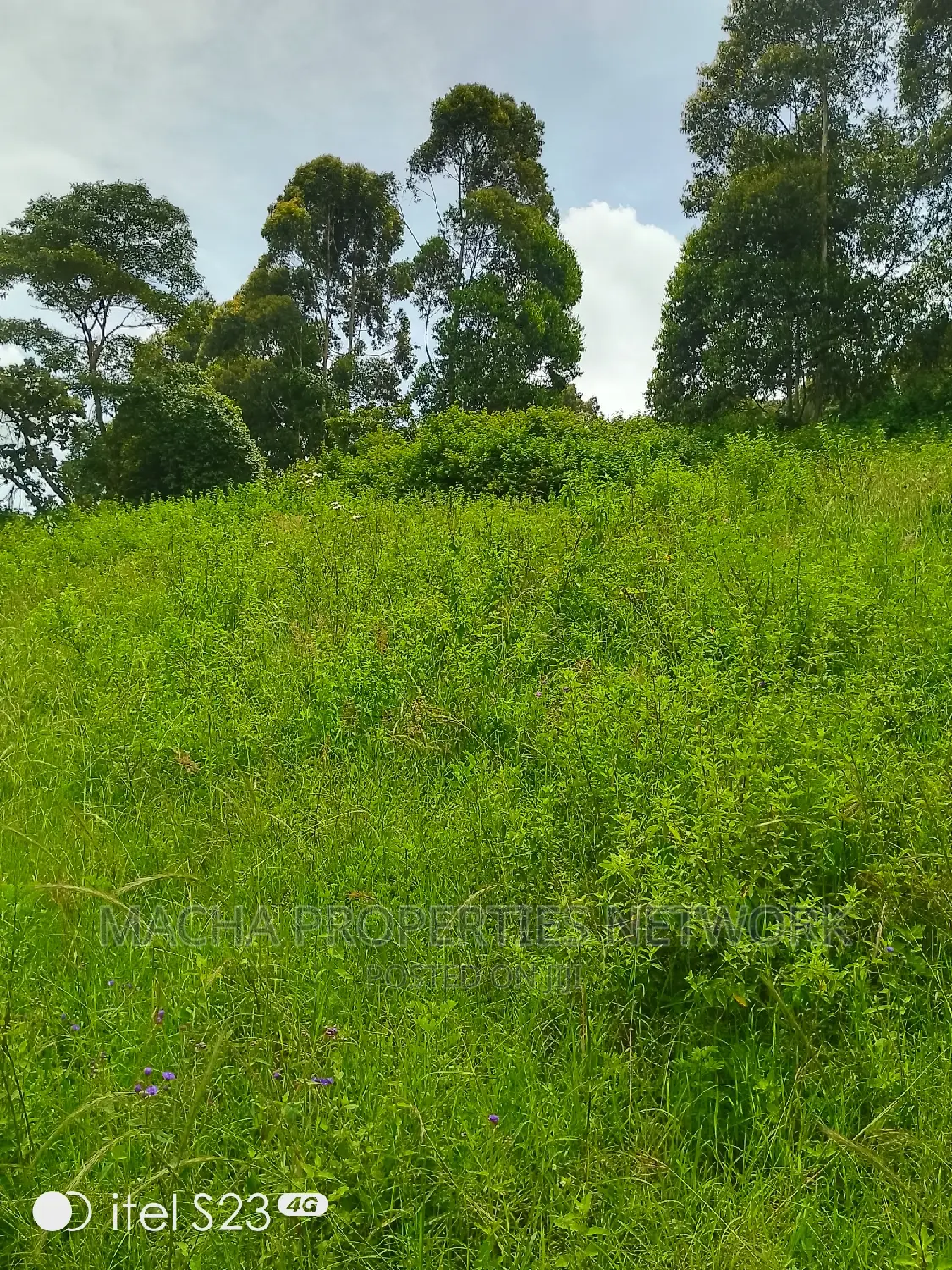 Mua -Kaloleni 2 Acres Half Quick Sale 2.9M Per Acre