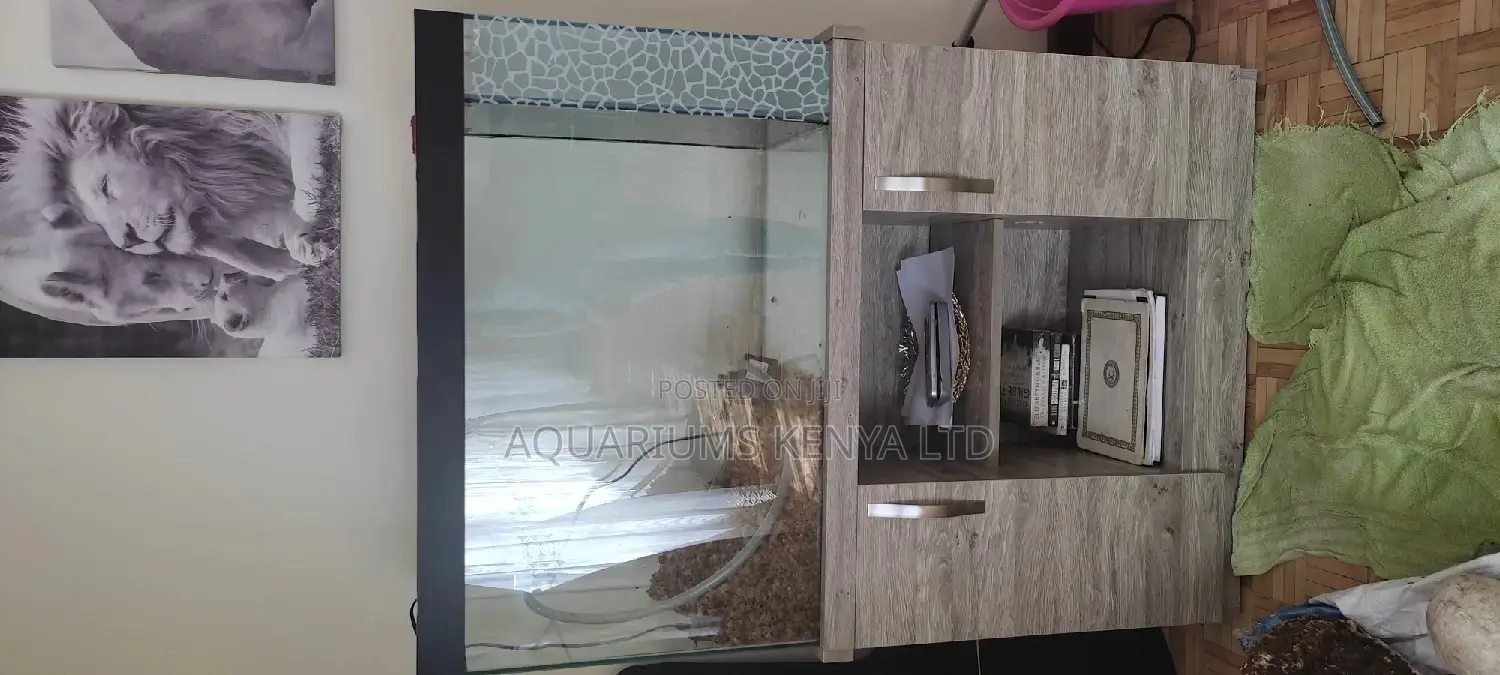 Aquarium Maintenance and Re-Aquascaping