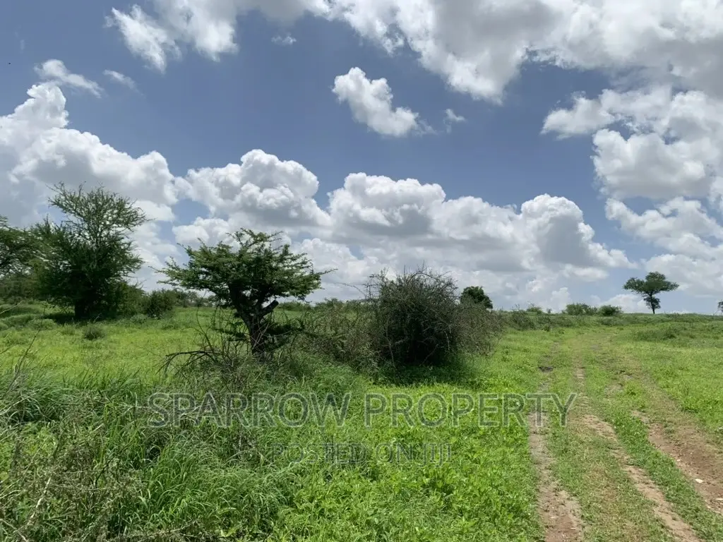 Kajiado Prime Land for Sale