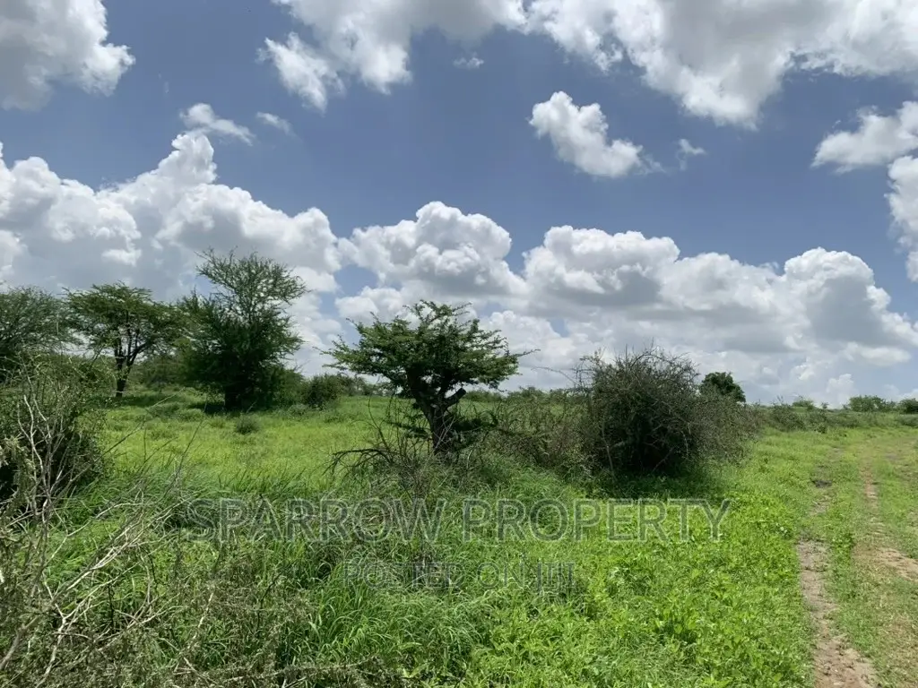 Kajiado Prime Land for Sale