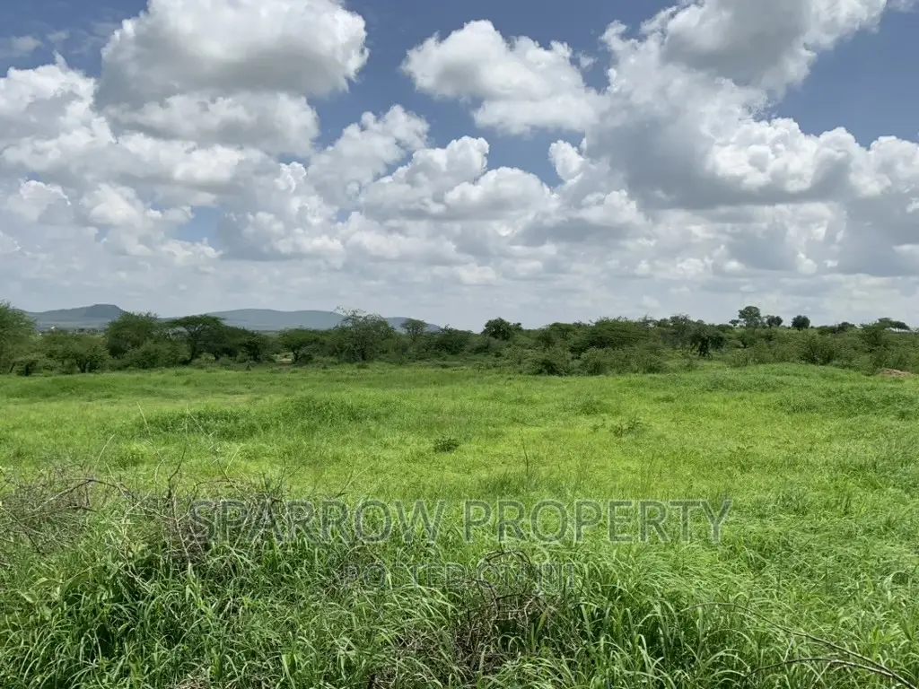 Kajiado Prime Land for Sale