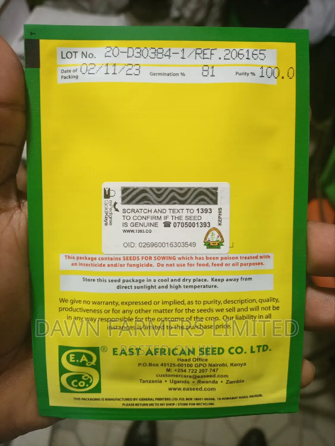 Pumpkin Small Sugar10gms