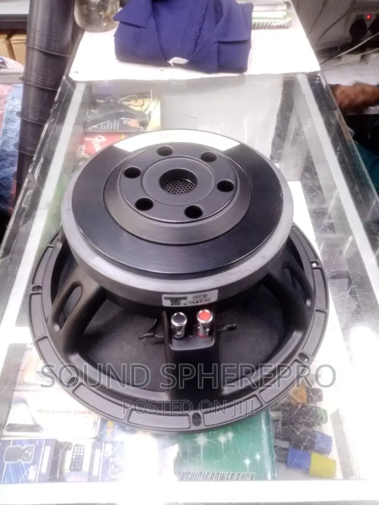 Derwel 12 DL202 12 Inch Naked Speaker