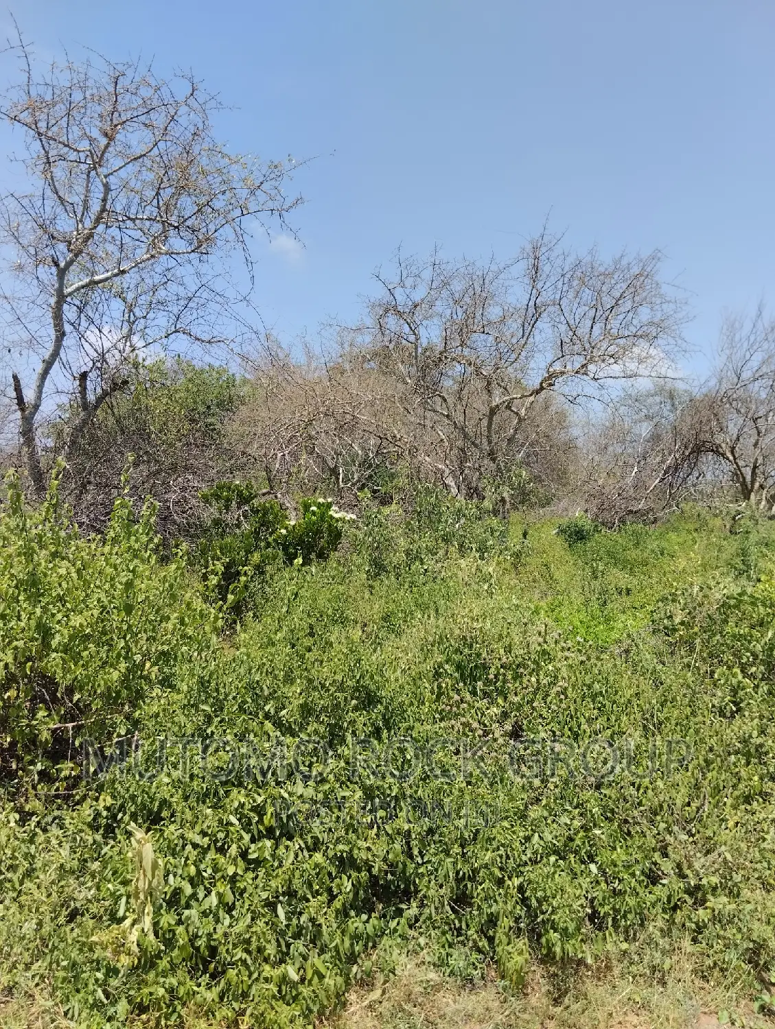 75acres for Sale