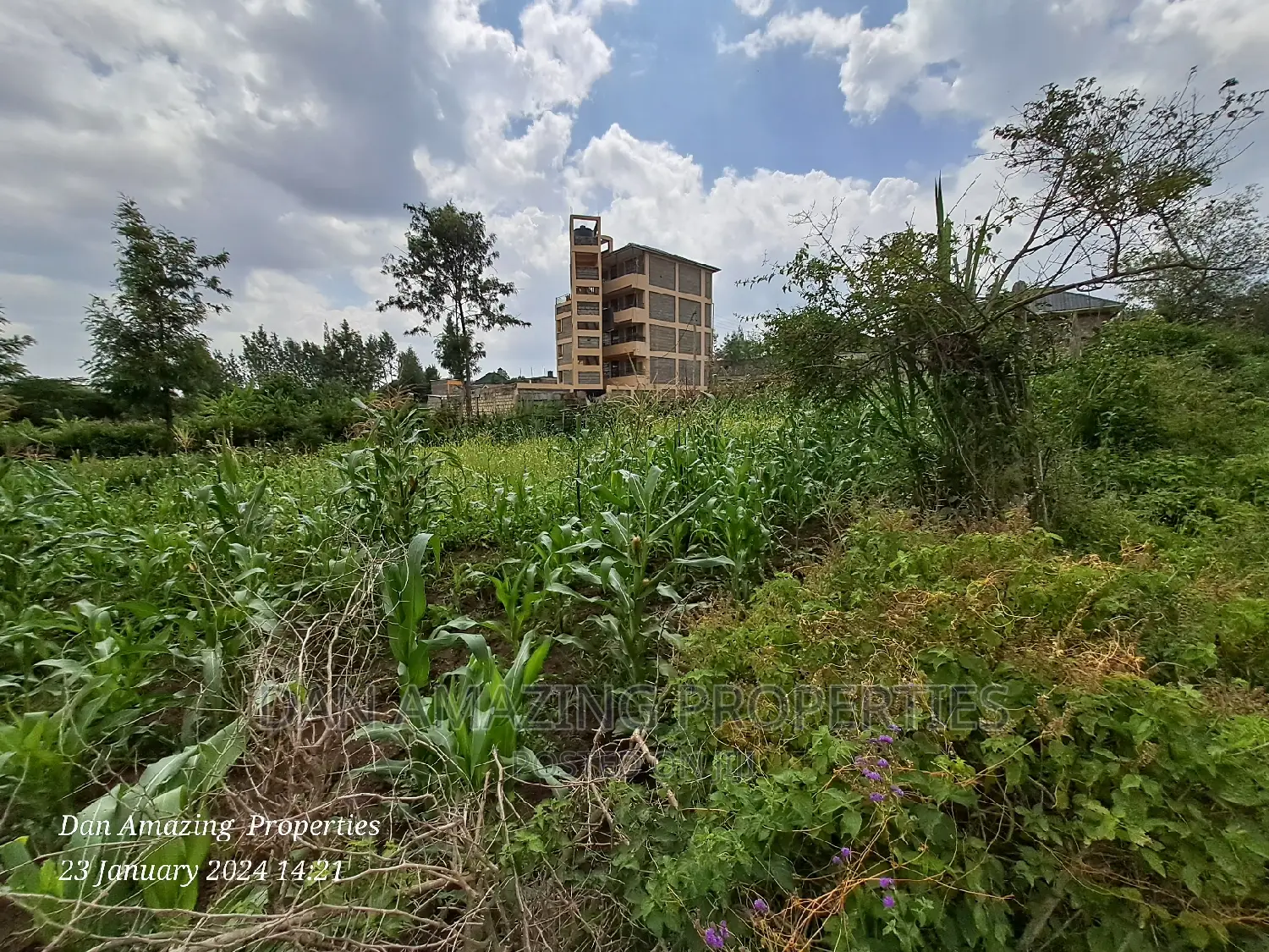 1/4 an Acre for Sale in Ngong Matasia