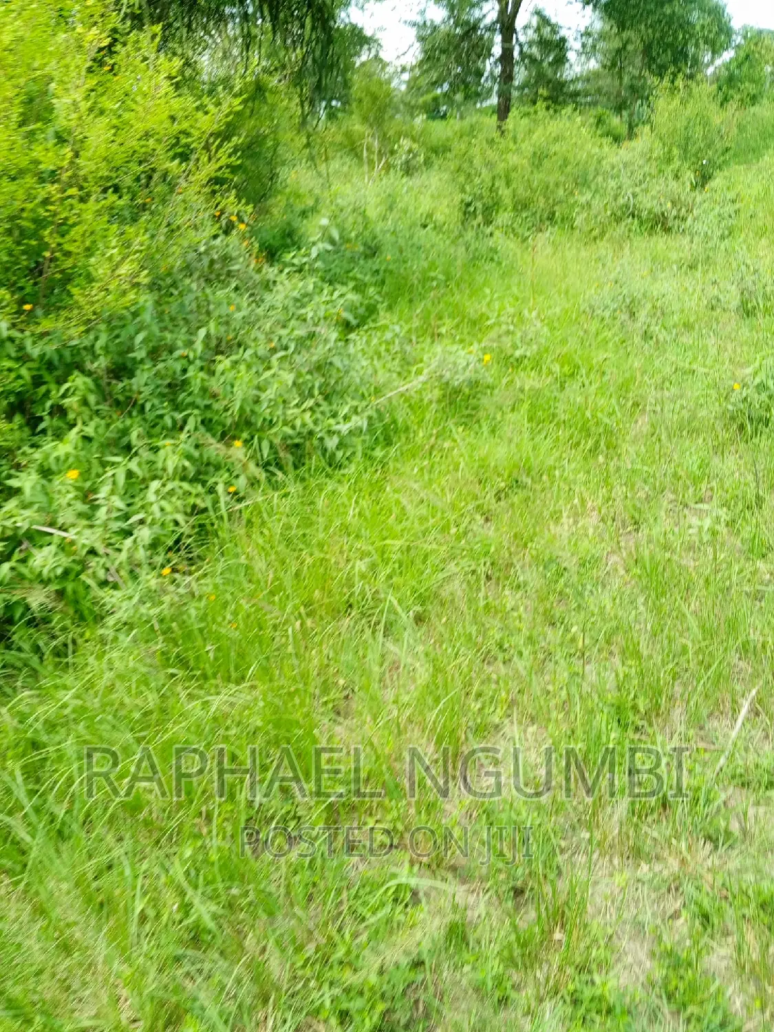 One (1) Acre at Masii - Kitooni