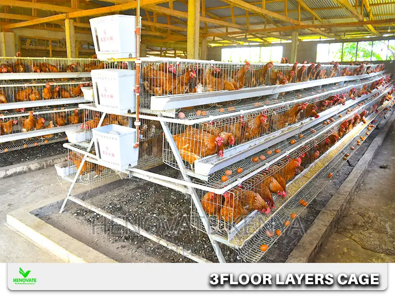 Atype 3tiers Cages Available Capacity of 96birds.New