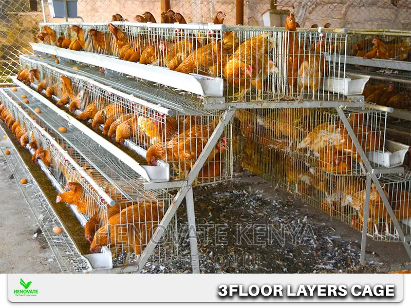 Atype 3tiers Cages Available Capacity of 96birds.New