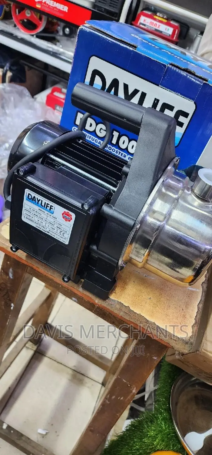 DDG 1000P Dayliff Stainless Booster Pump