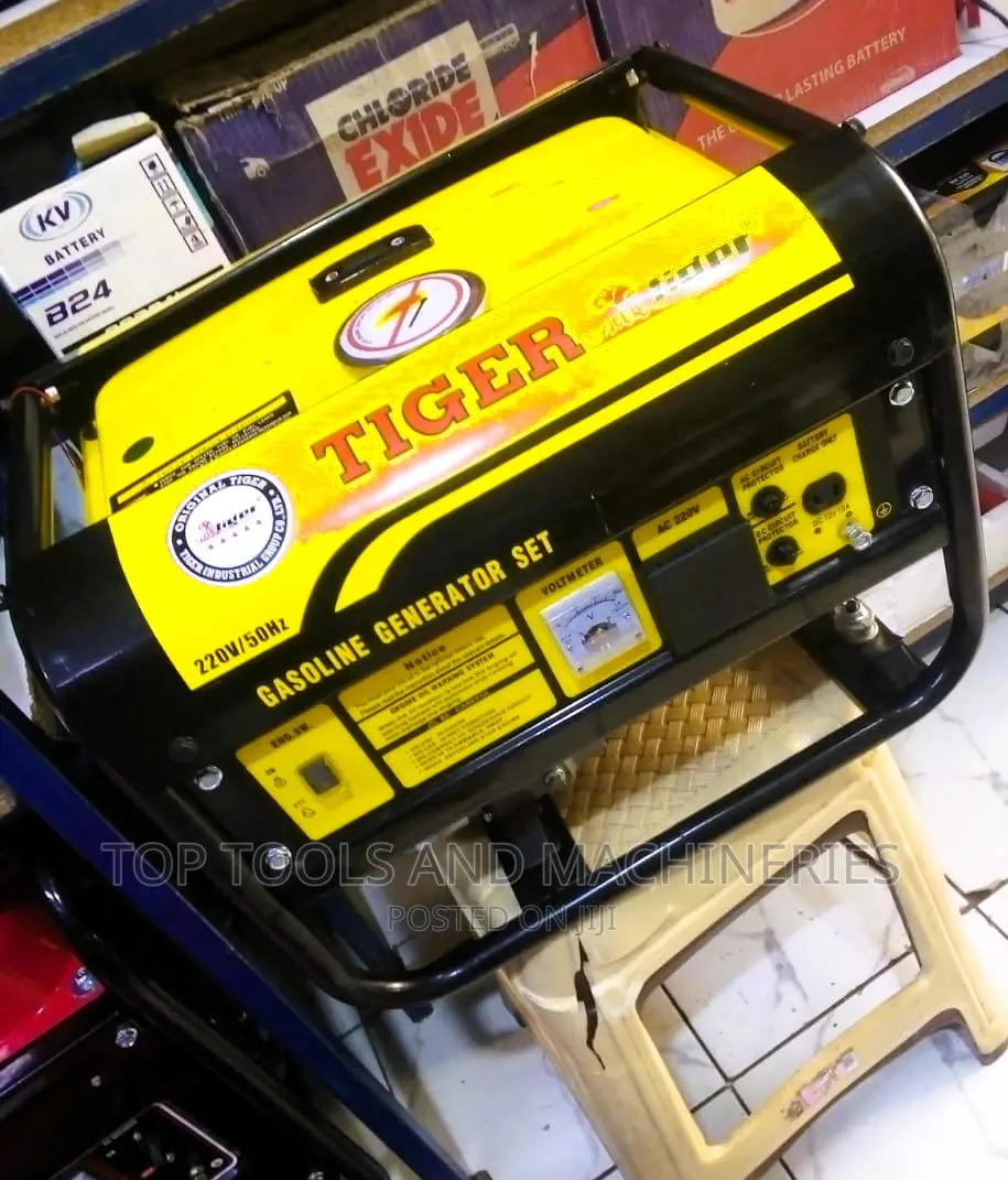 Professional Tiger Gasoline Generator 3.5 Kva