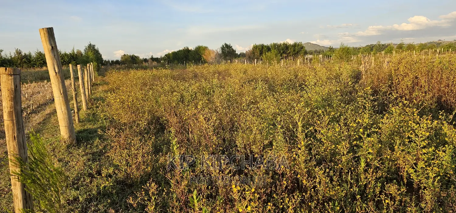 Full 1⁄4 Plot For Sale In Chepkanga Eldoret