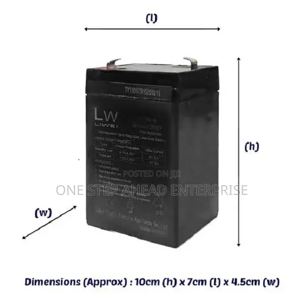 New Led Brand Batteries for Electric Kids Motorbike