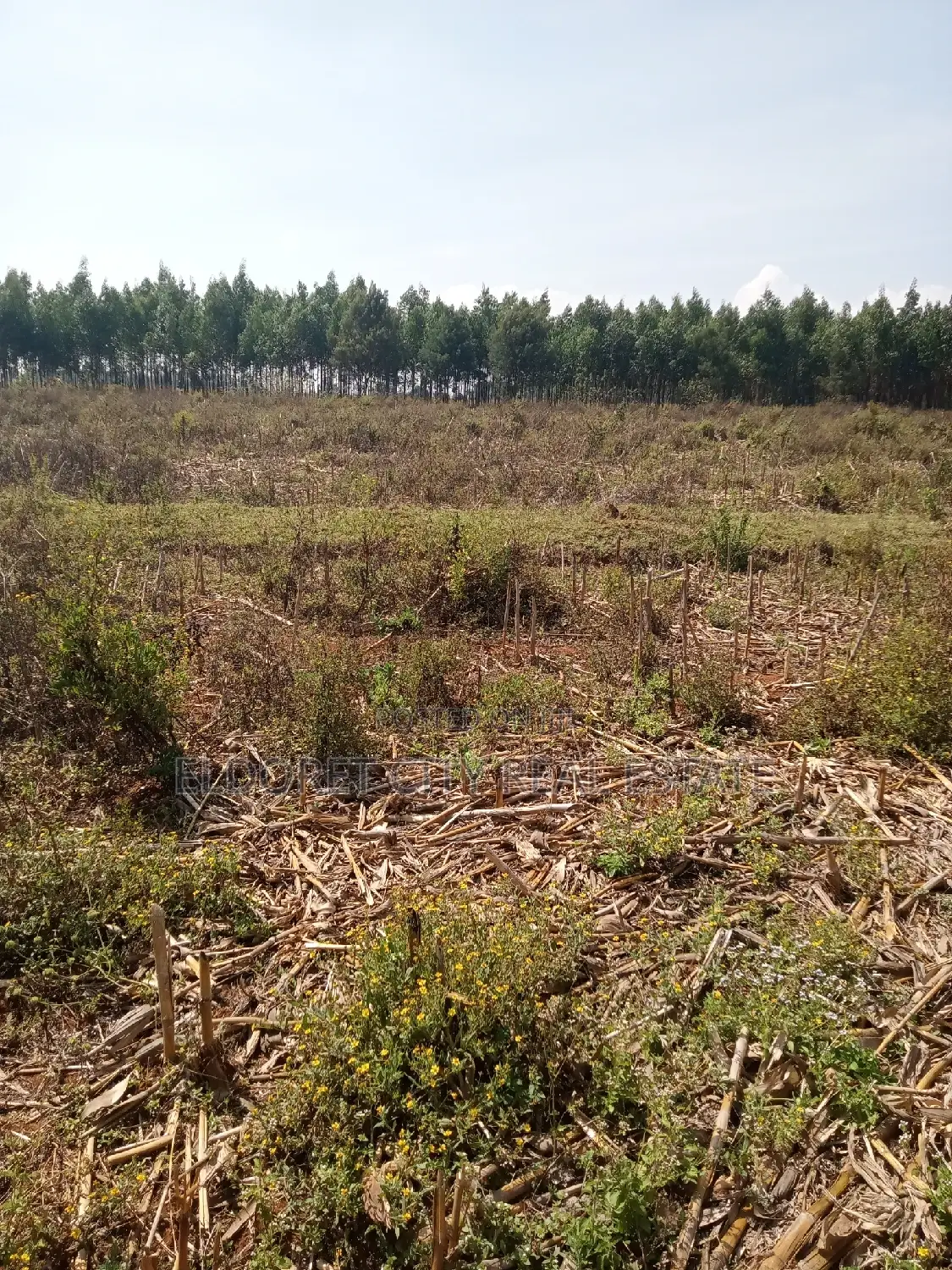 3 Acres Kaboi Kiplombe Route With Title
