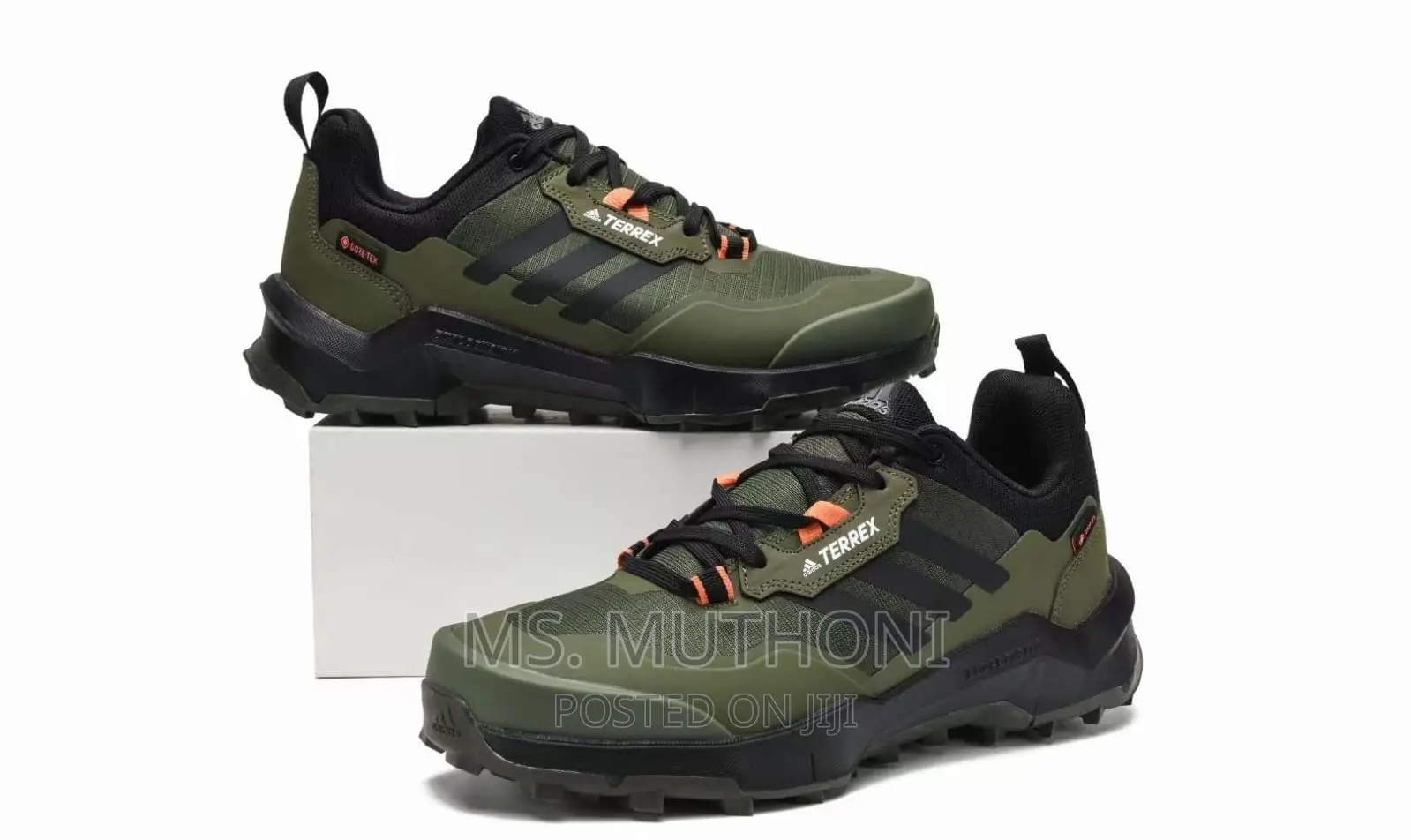 Terrex Ax4 Gore-Tex Hiking Shoes