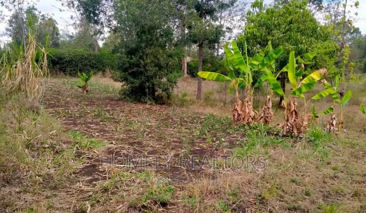 Residential Quarter Acre in Ongata Rongai, Nkoroi. Red Soil