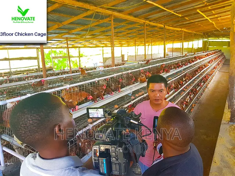 3 Tiers 96 Birds Layer Cage in Kenya