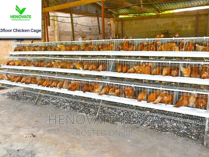 3 Tiers 96 Birds Layer Cage in Kenya