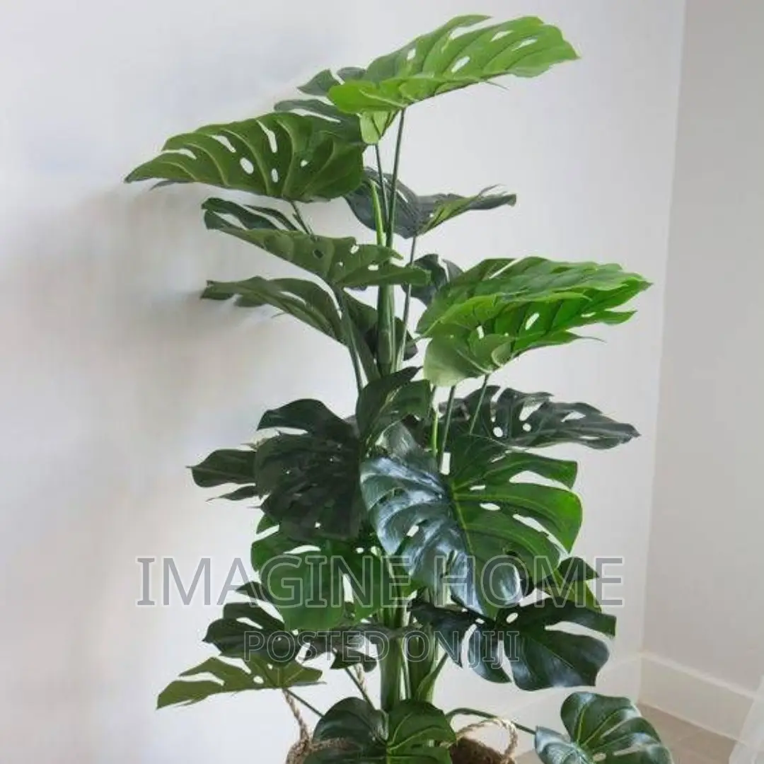 Artificial Plants