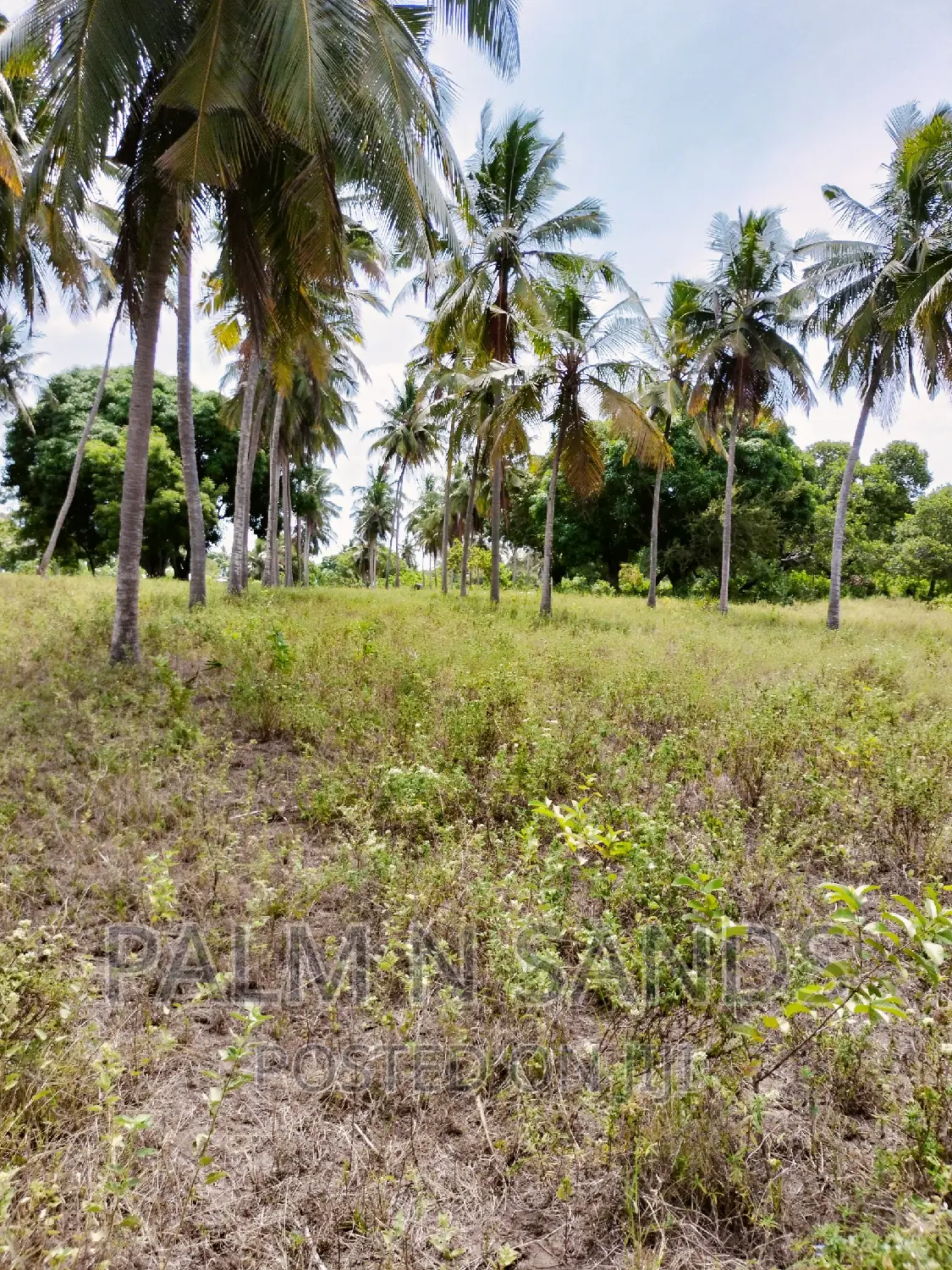 Mvindeni 12 Acre Property on Sale