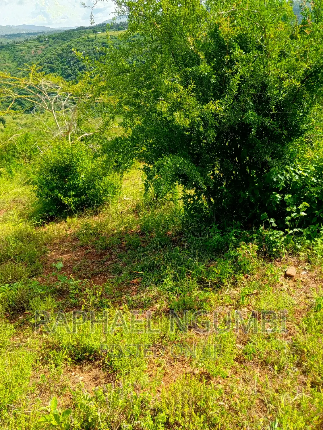 Machakos Muvuti 1.075 Acres