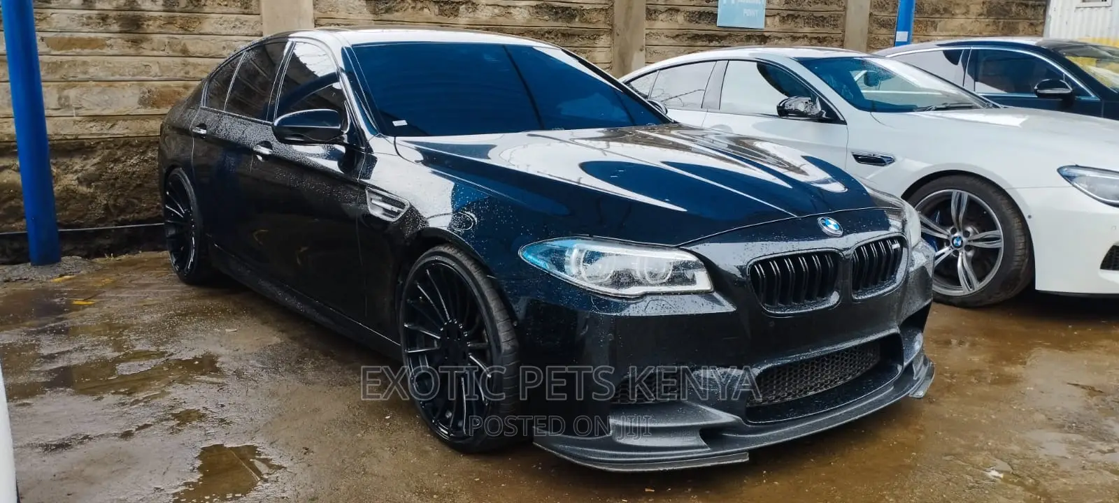 Professional Car Tinting