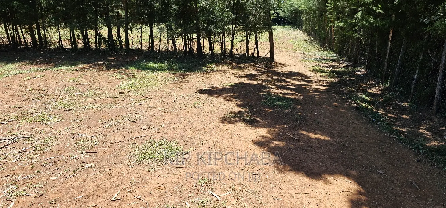 Plots for Sale in Racecours Borderingelgonview in Eldoret