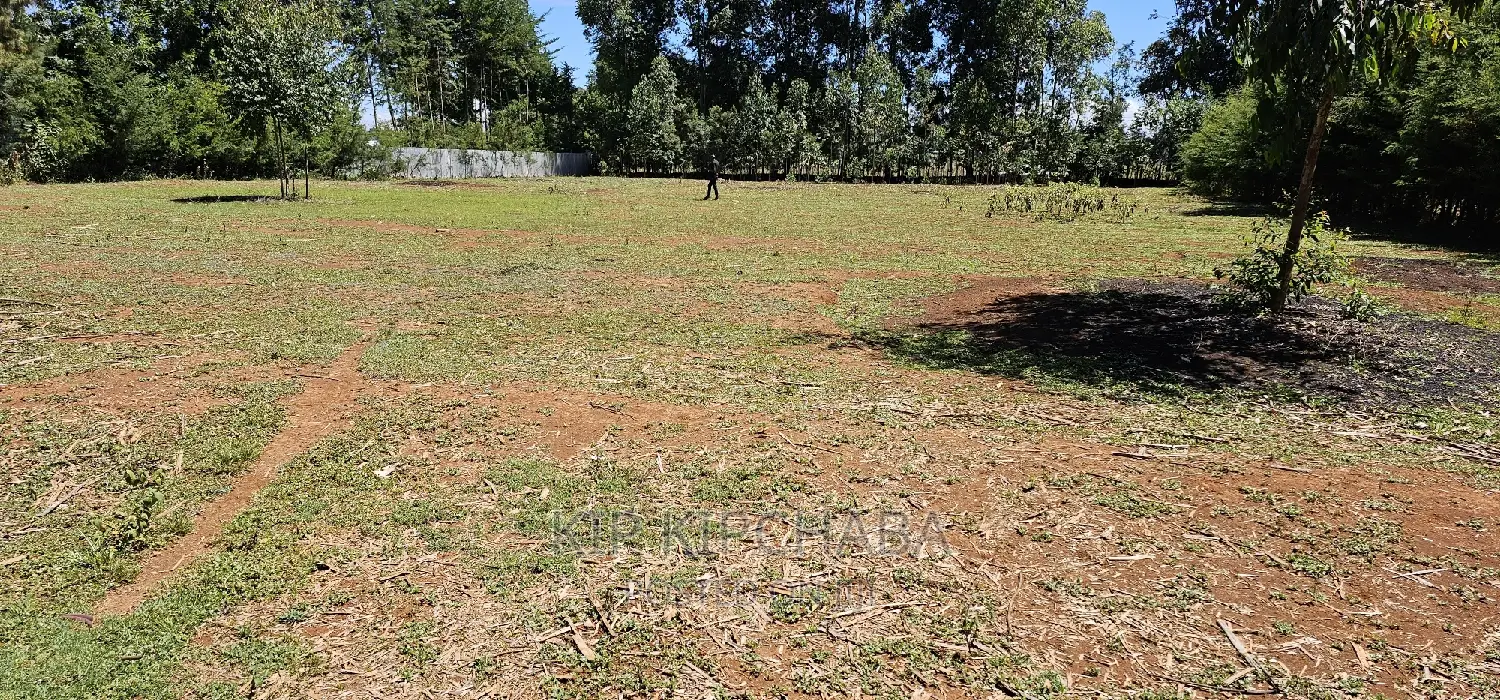Plots for Sale in Racecours Borderingelgonview in Eldoret