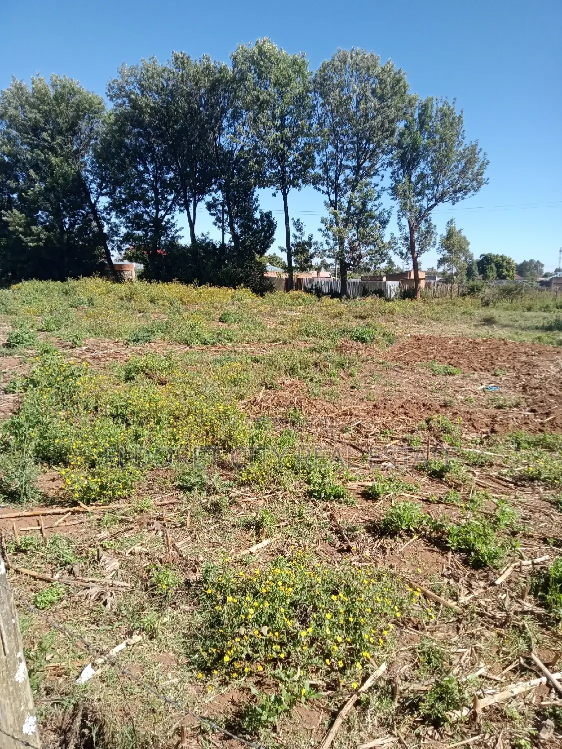 1/4 Kimumu. (Betterfarm )Ideal for Rental