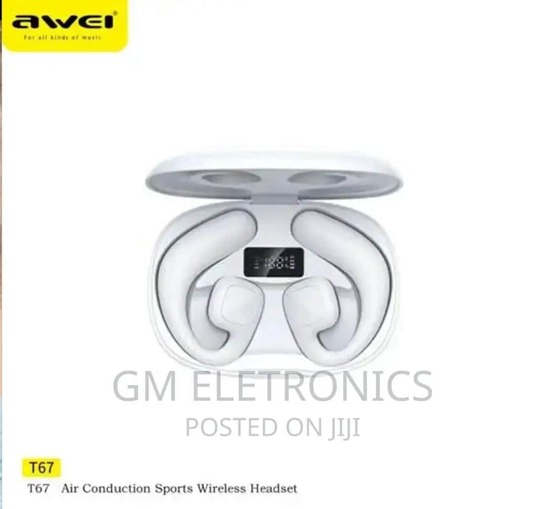 Awei T67 Earhook Earbuds.