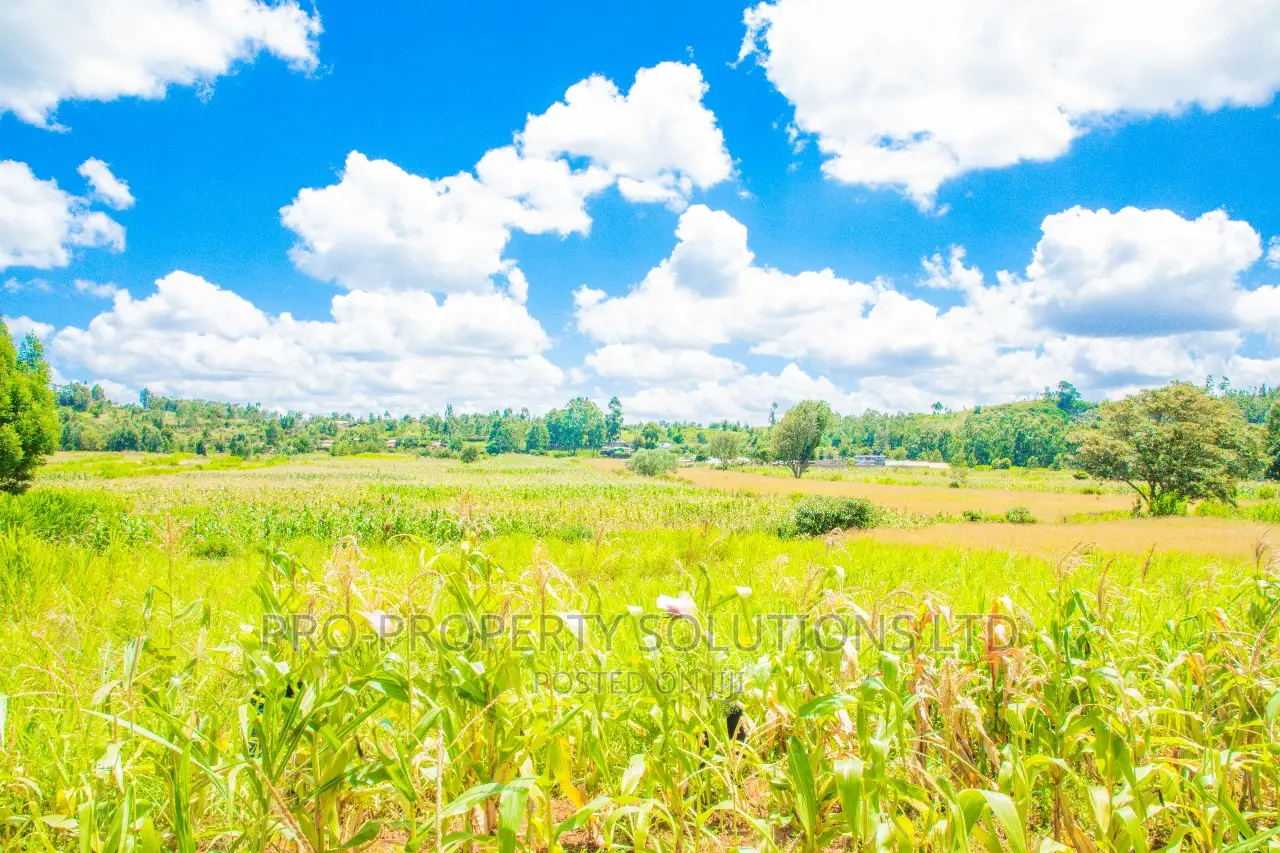 Prime Residential Plots for Sale in Kikuyu, Lusigetti.