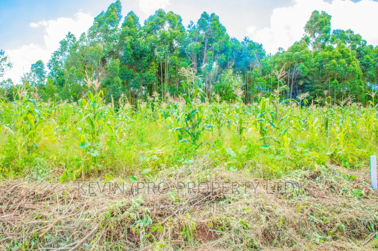 Prime Residential Plots for Sale in Gikambura, Jambu TV.