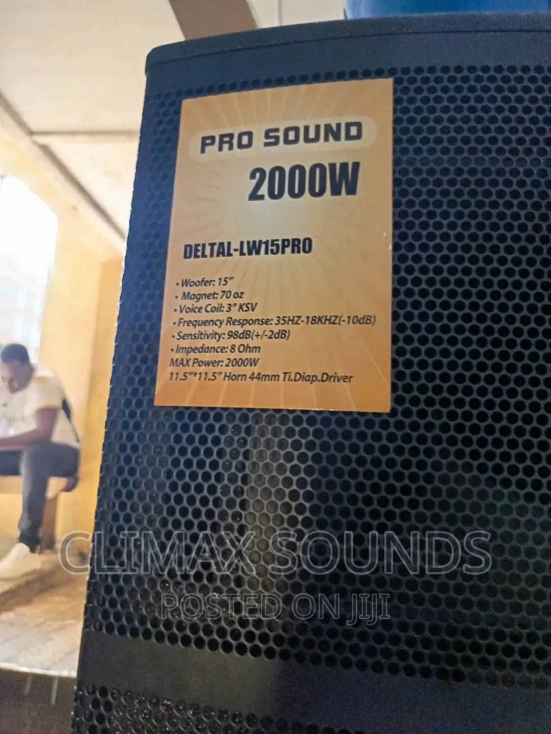Pro Sound Wooden Speaker's