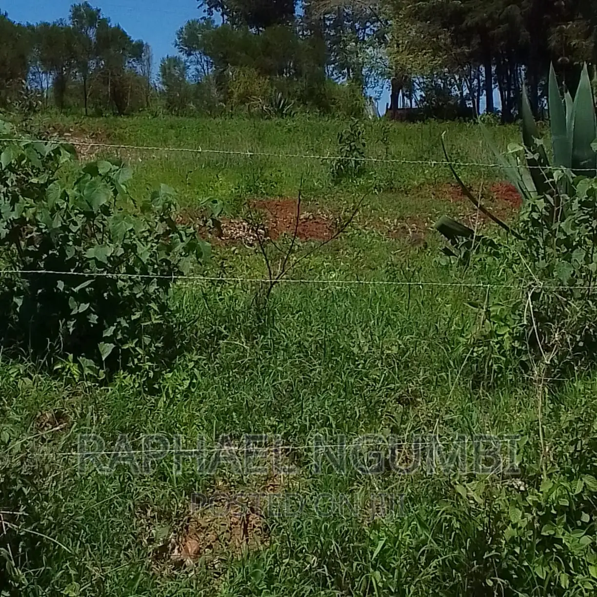 10 Acres at Mua Kitanga.