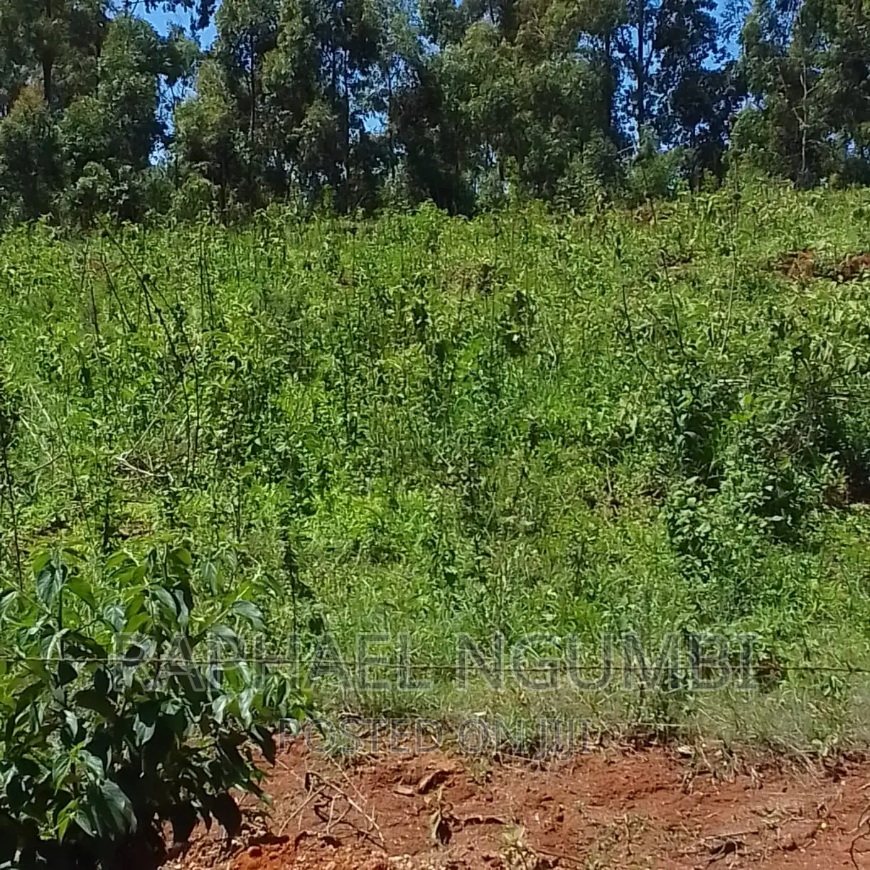 10 Acres at Mua Kitanga.