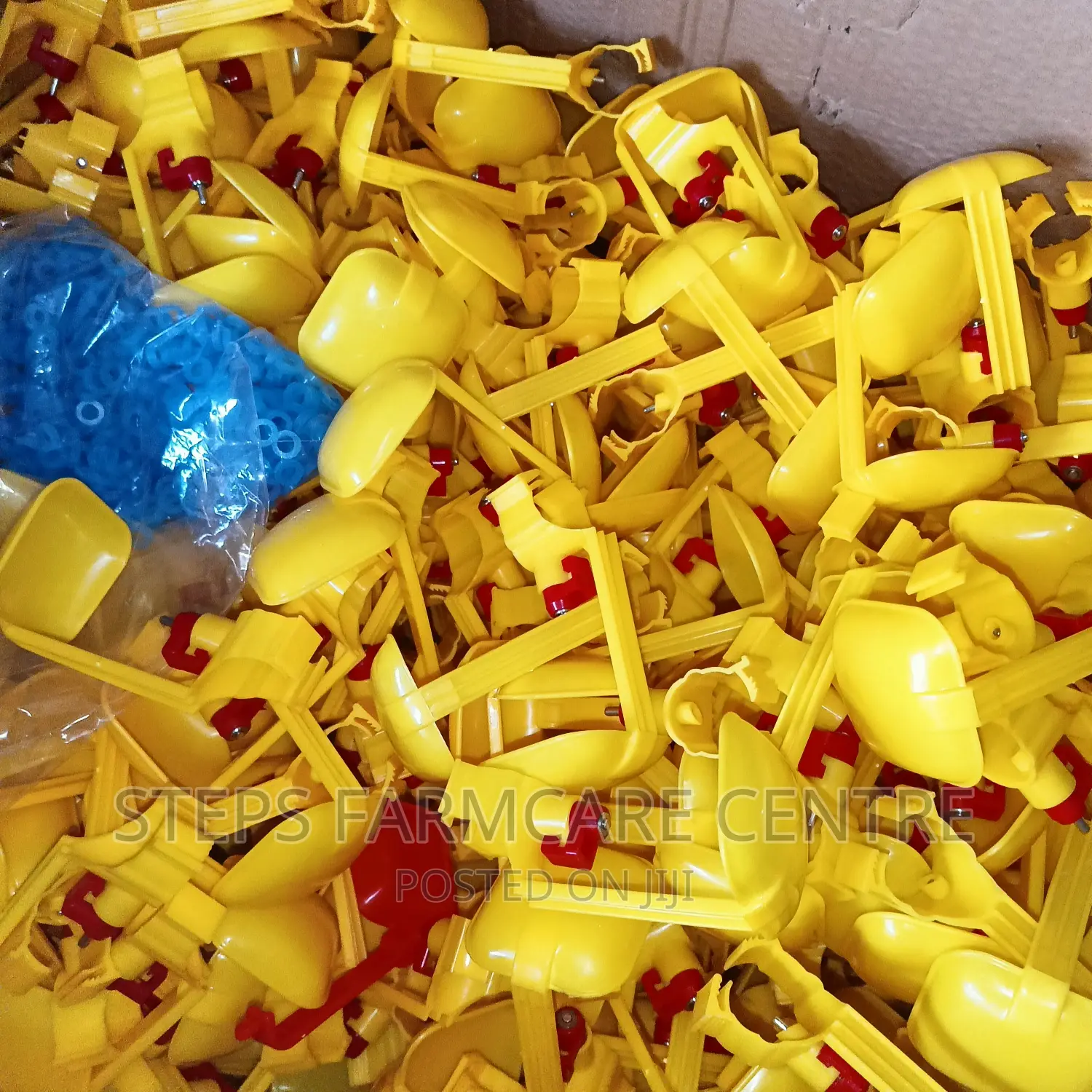 Yellow Chicken Nipple Drinkers With Single Cup