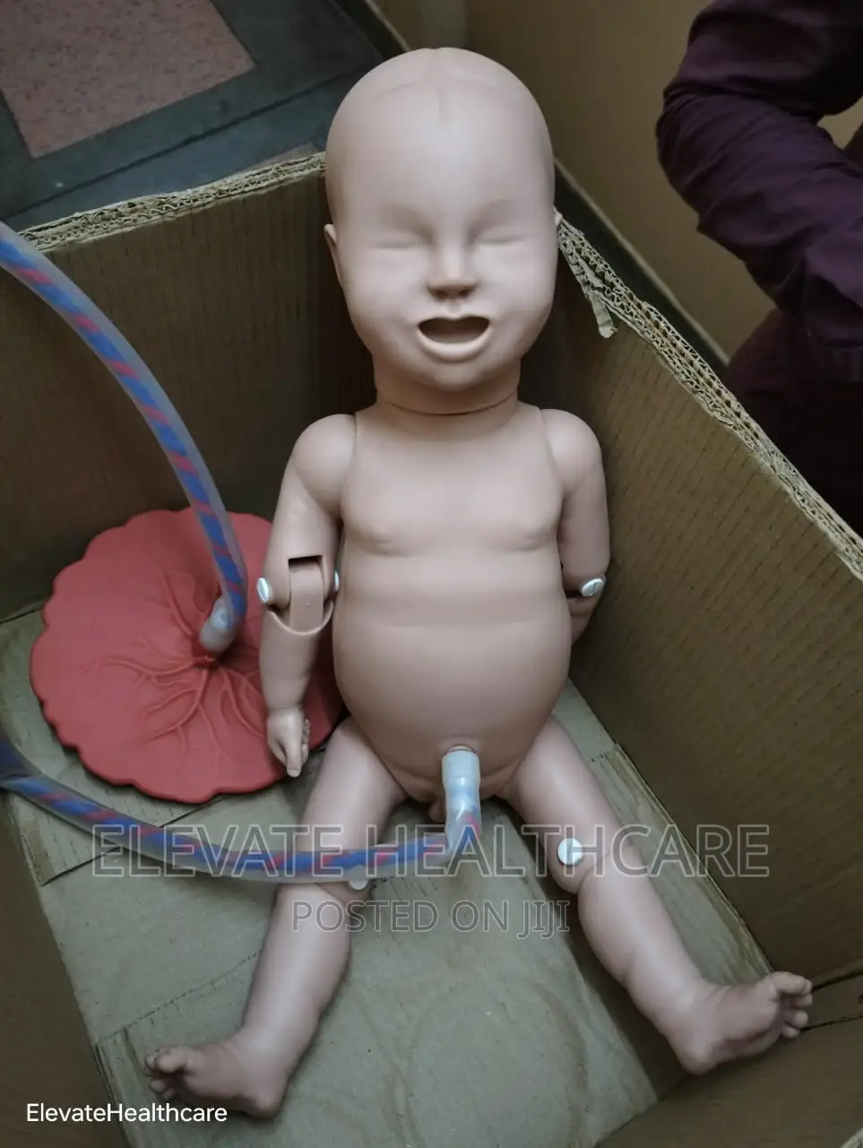 Medical Dummies