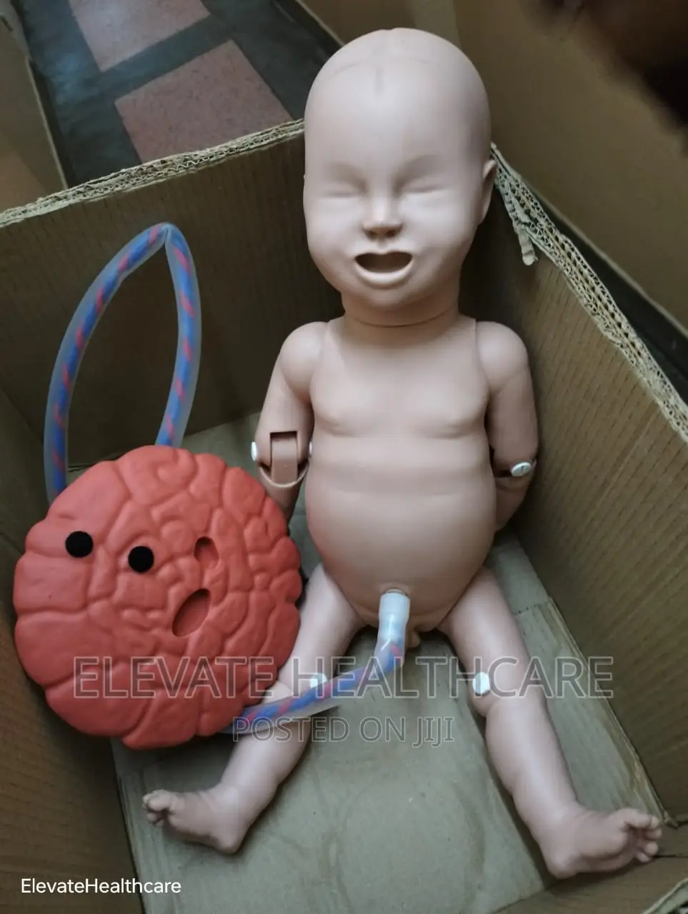 Medical Dummies