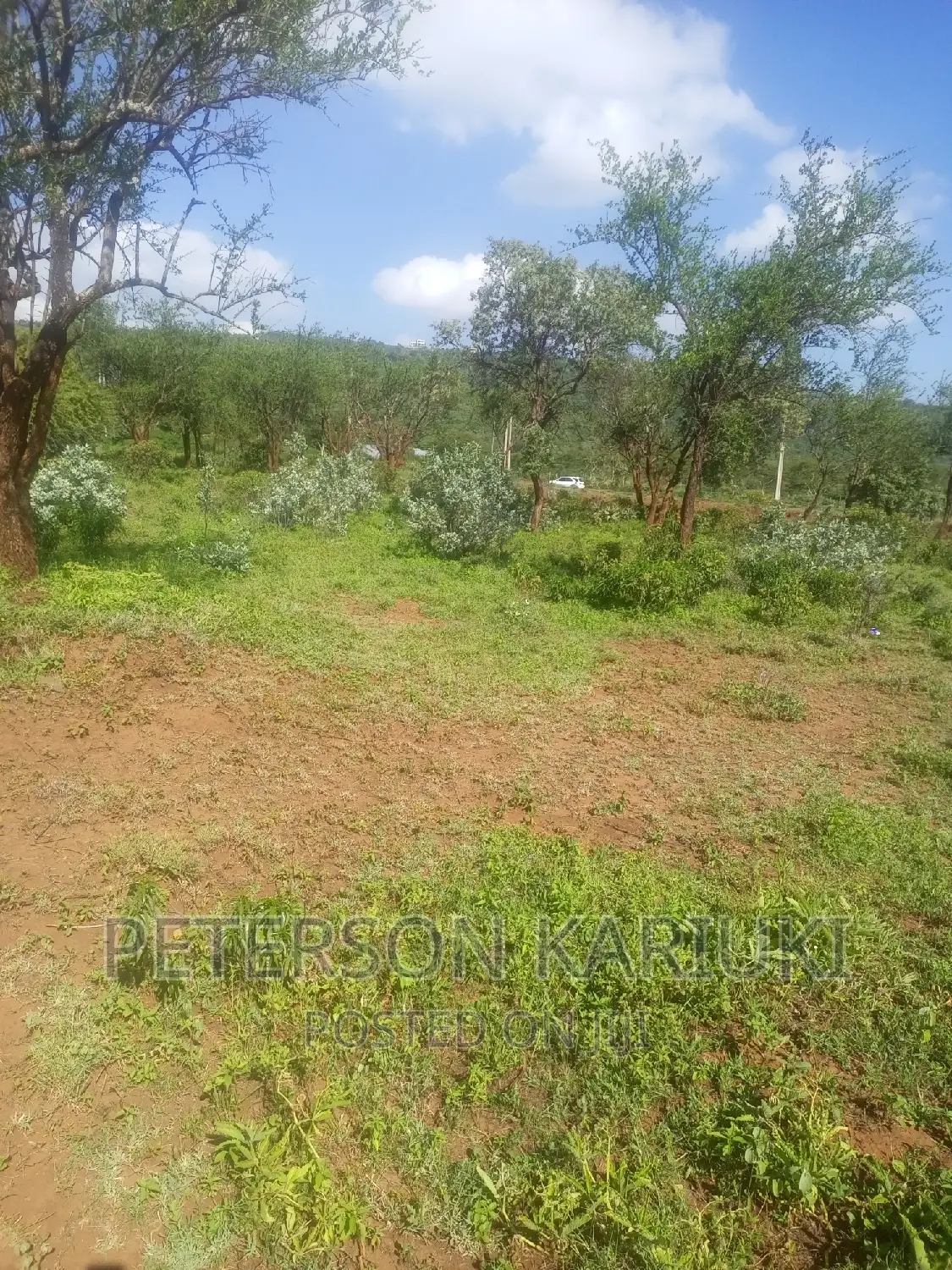 Kimuka Ngong