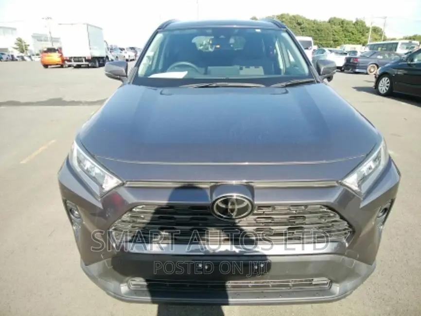 Toyota RAV4 2019 Gray