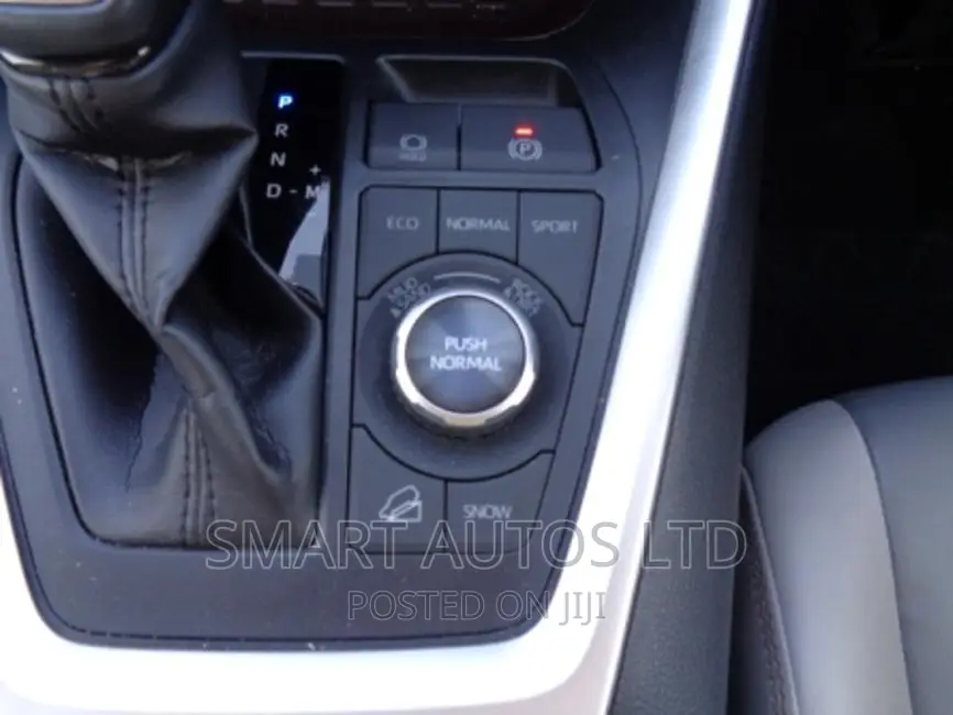 Toyota RAV4 2019 Gray