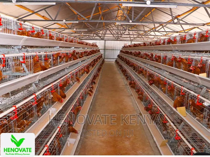 4floor Available(Chicken Layer Cage)Ruiru