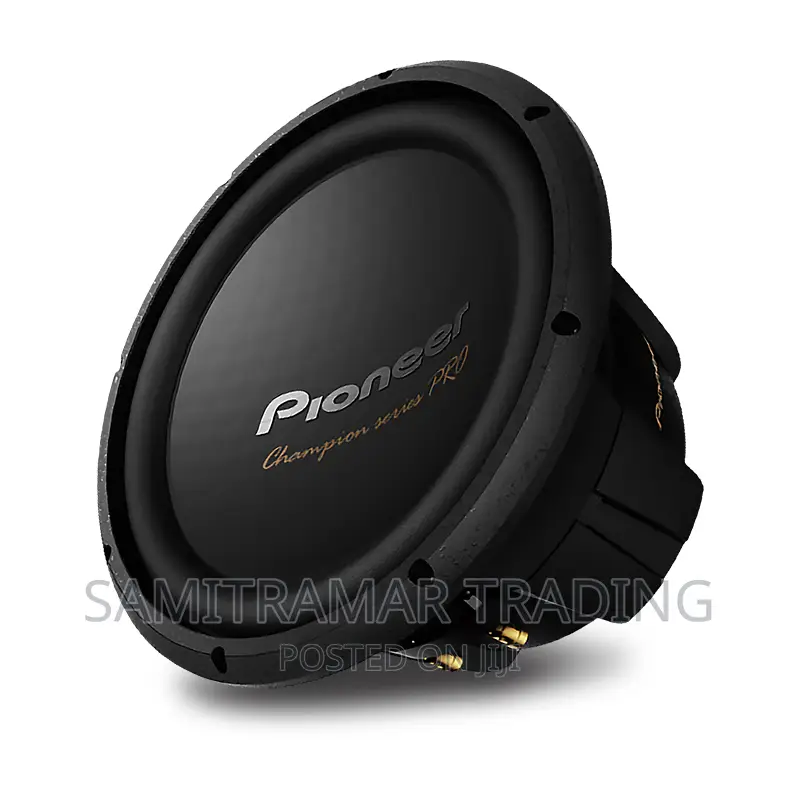 Ts-W3004d4 New Pioneer Champion Pro Series 2400w Sub Woofer