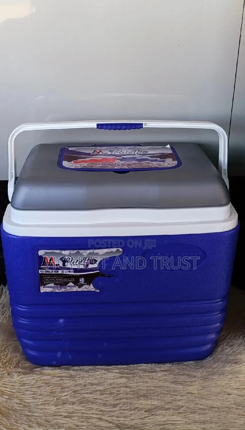 Ice Cool Box Freezer 20litres