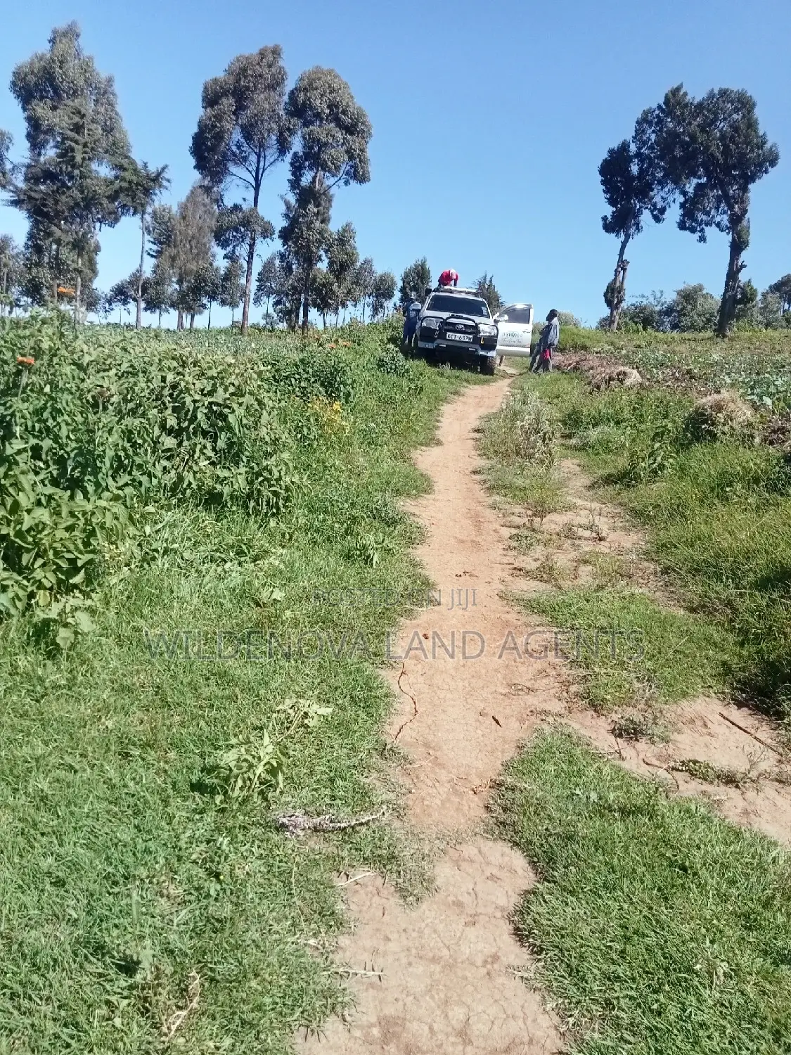 Land on Sale at Viewpoint Naivasha